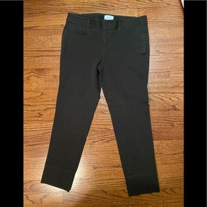 Loft Riding Pants